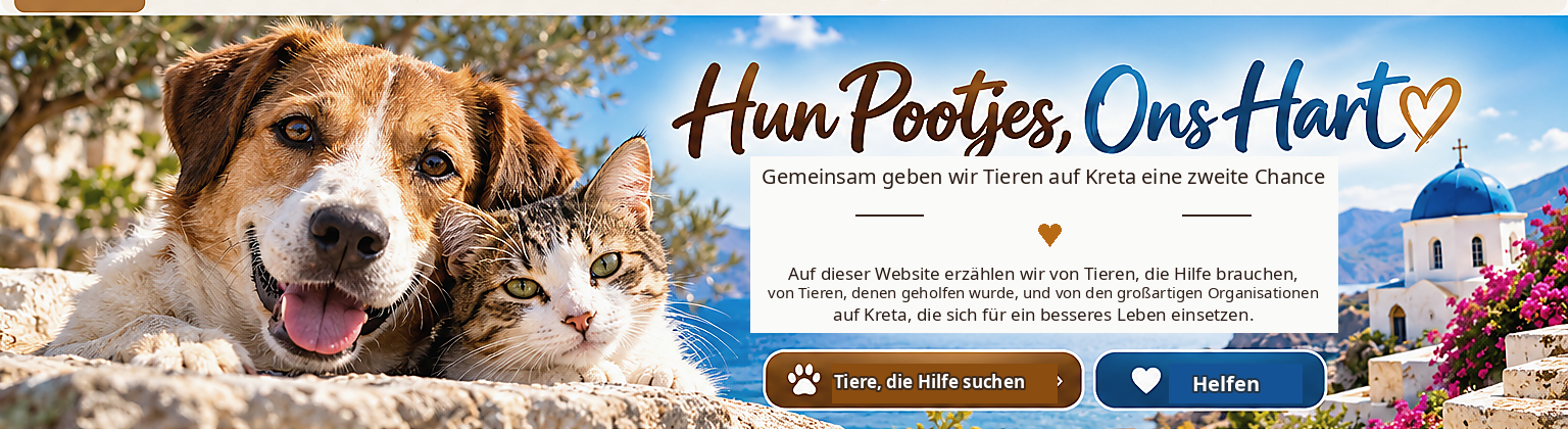 Hero Deutsch
